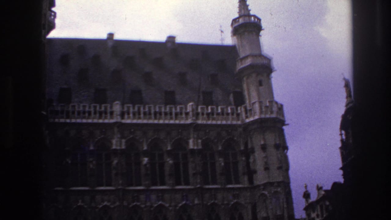 Ornate stone facade and steep roof seen through dark vertical framing.