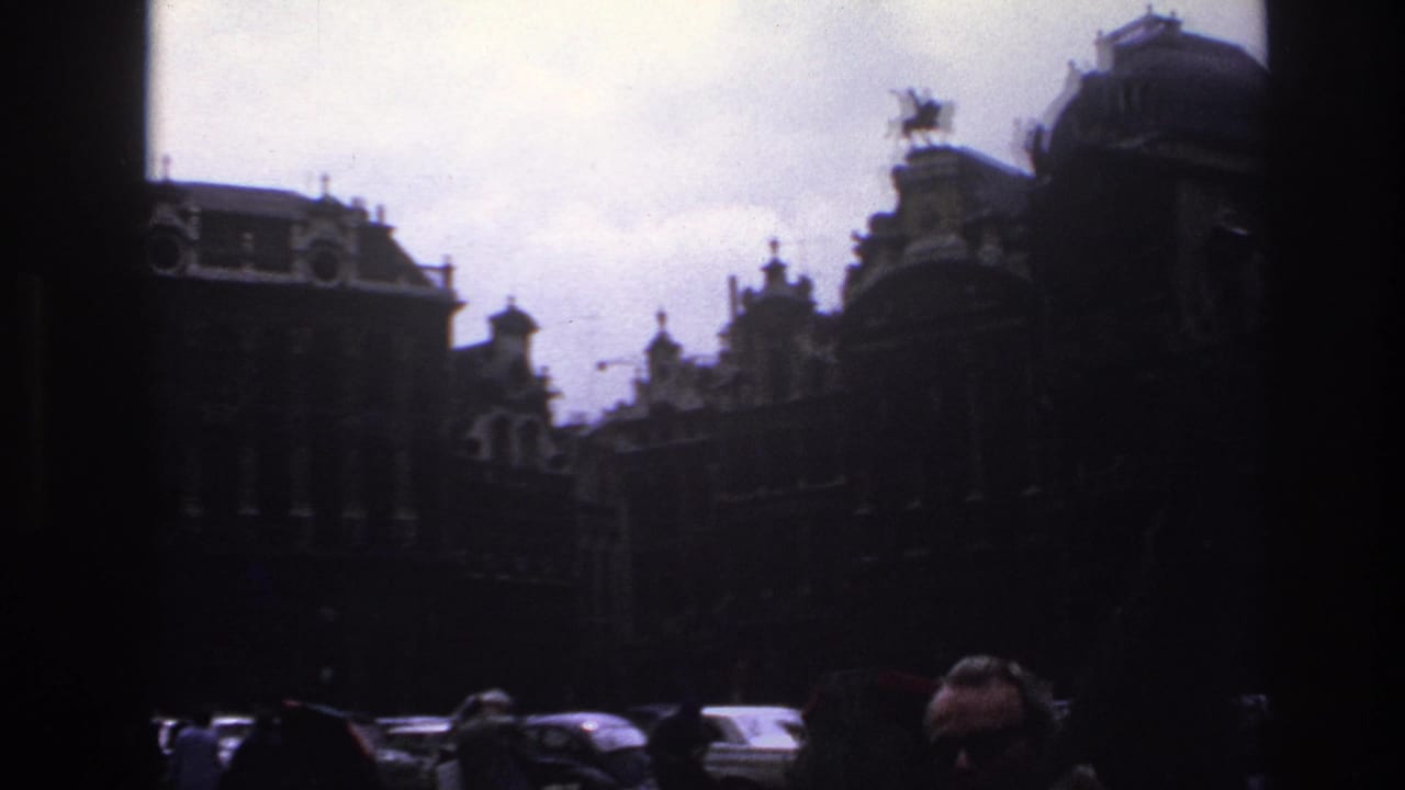 Ornate building rooftops and cars seen through dark vertical film shadows.