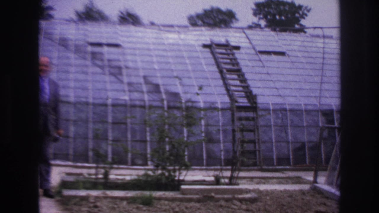 1967 Paris home-movie frame showing a large glass greenhouse roof, wooden ladder, metal framing, trees, and planted ground.