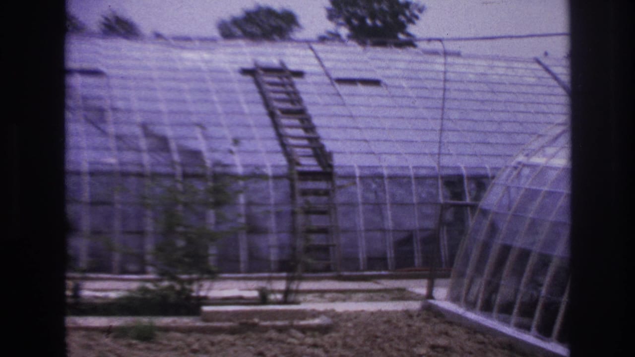 1967 Paris frame with a leaning ladder on a greenhouse roof and a curved glass structure entering from the right.