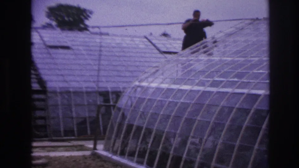 1967 Paris frame showing a distant man on or near the greenhouse roofline, with curved glass panes dominating the foreground.