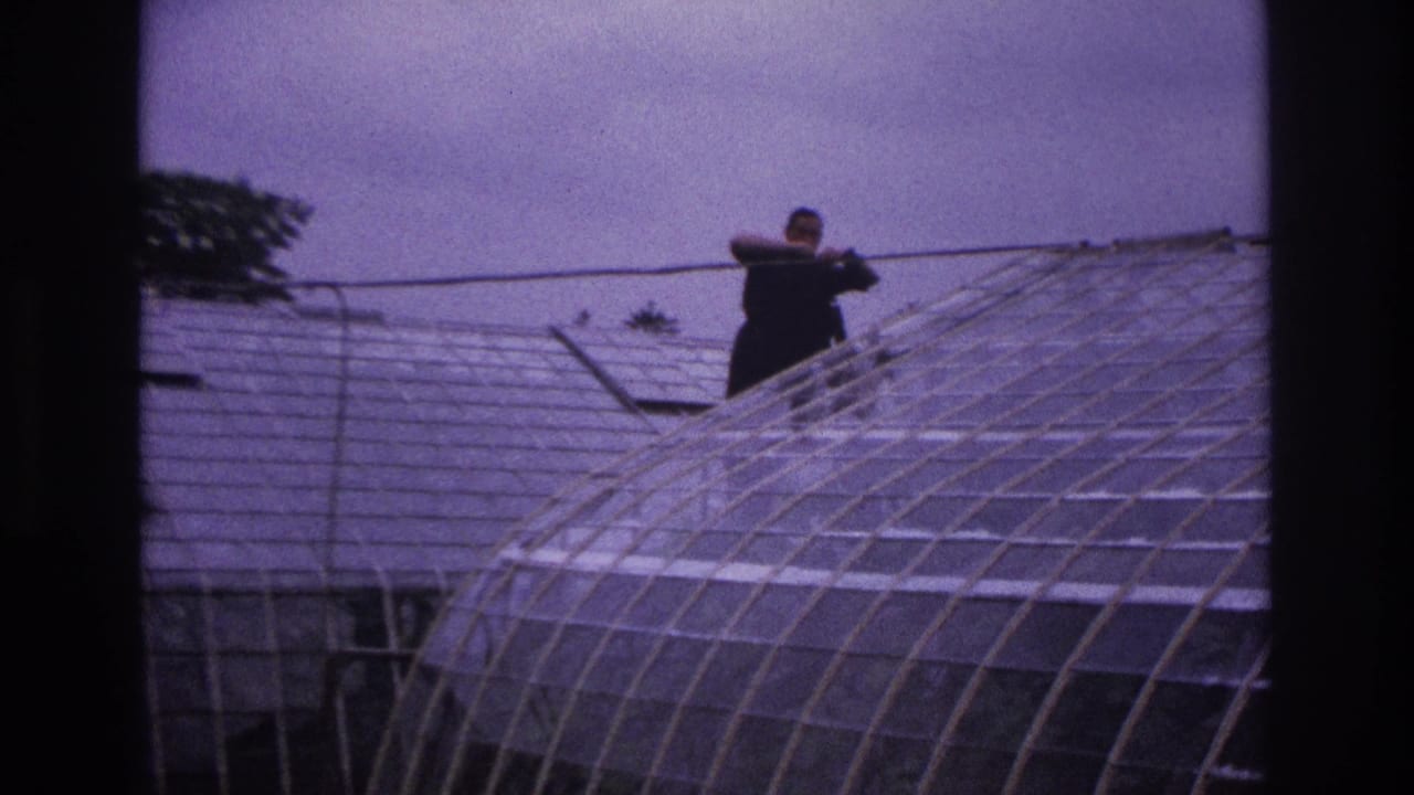 Man with a long pole on a greenhouse roof seen through dark vertical framing.