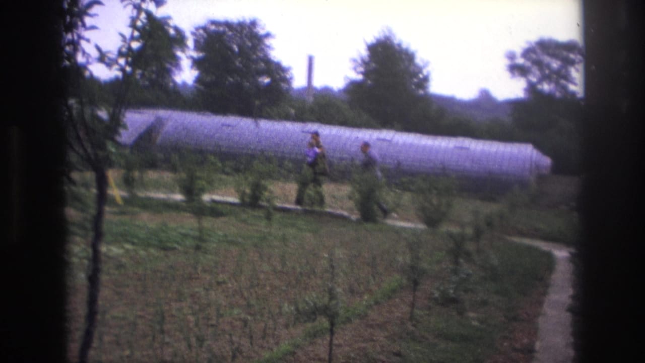 Two men continue along a garden path beside a long greenhouse.