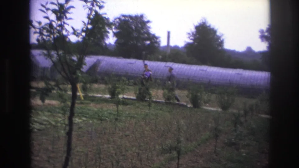 The 8mm frame shows two men crossing the garden scene near a long greenhouse, with young trees and cultivated ground in the foreground.