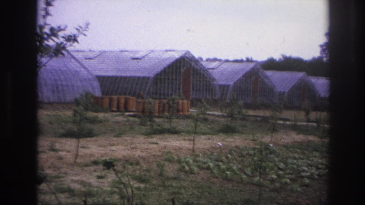 1967 Paris-area home-movie frame showing arched greenhouses, crop rows, saplings, and open farmland through dark foreground borders.