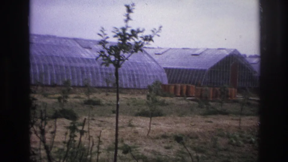1967 Paris-area agricultural view with arched greenhouse structures, saplings, outdoor crops, and soft 8mm color fade.