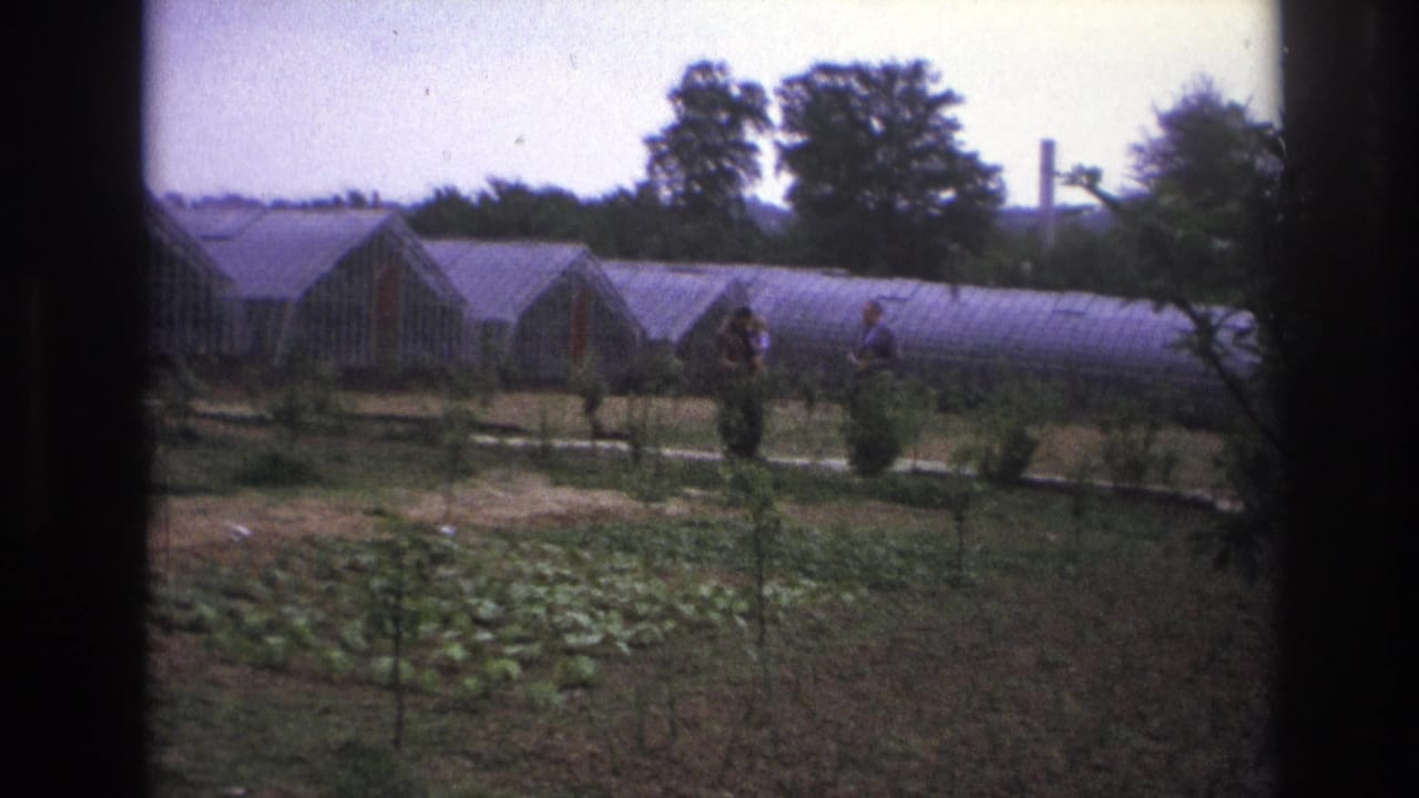 1967 Paris home-movie frame showing two adults in a garden beside low greenhouse structures and trees.
