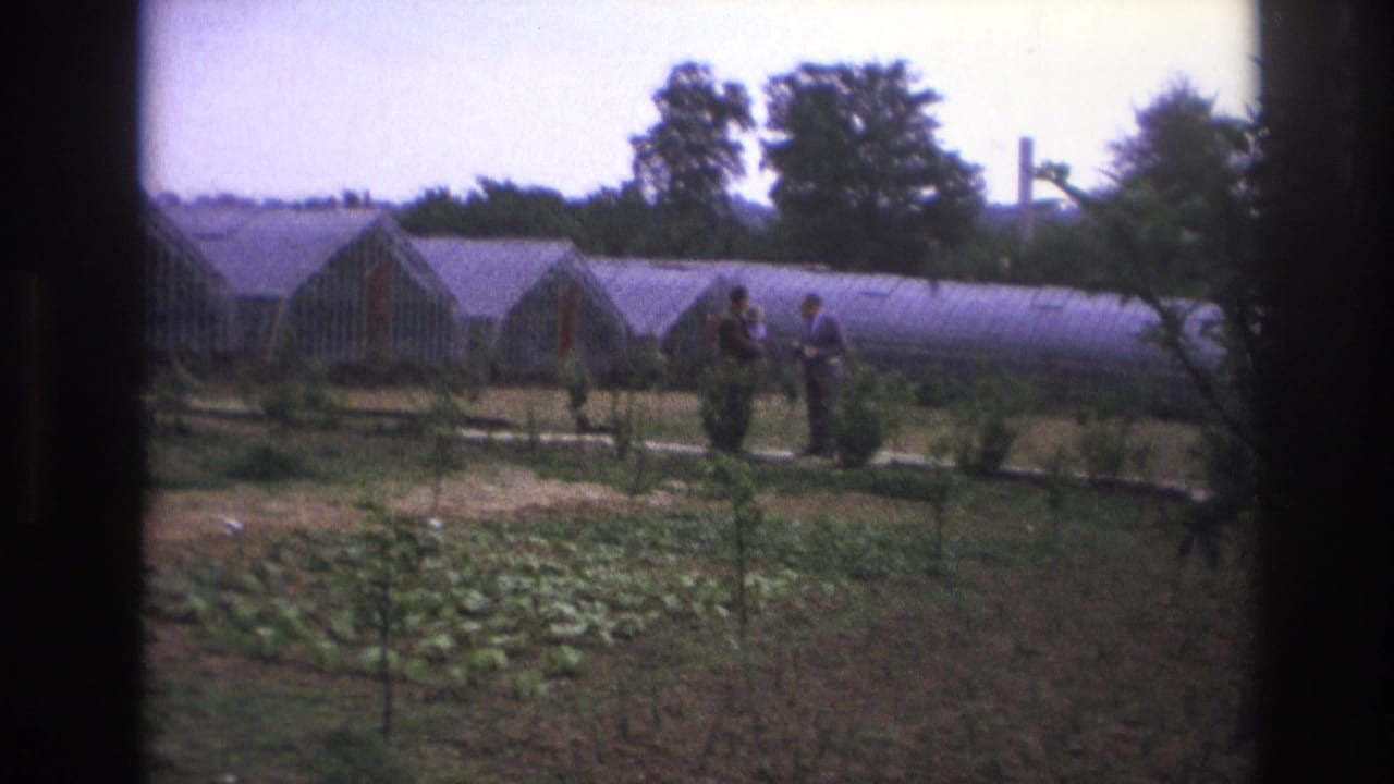 1967 Paris garden scene with two adults near a path, greenhouse structures, trees, and a distant chimney.