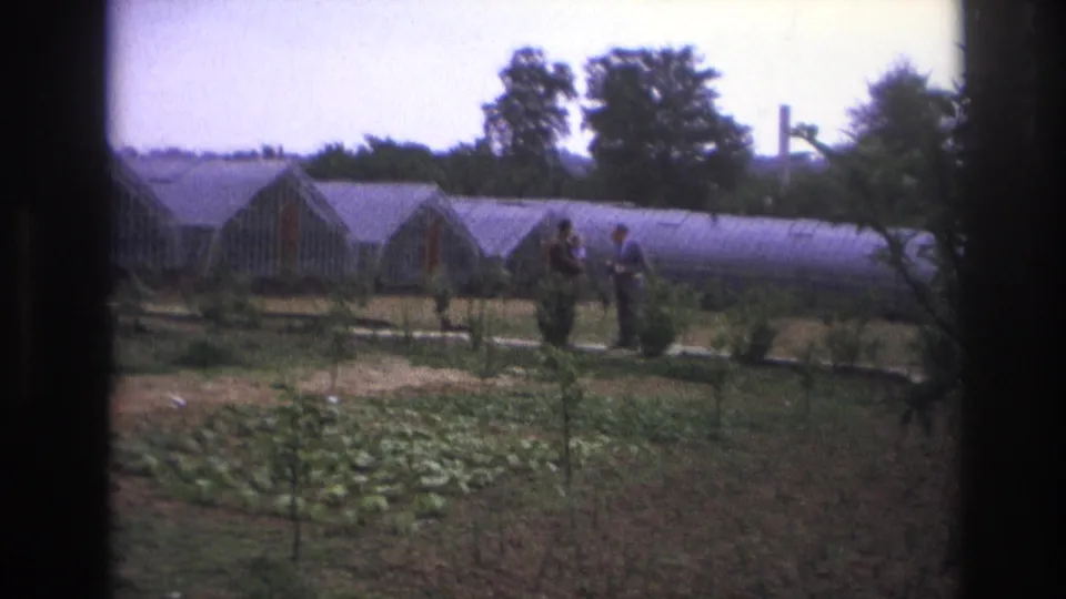 1967 Paris garden scene with two adults near a path, greenhouse structures, trees, and a distant chimney.