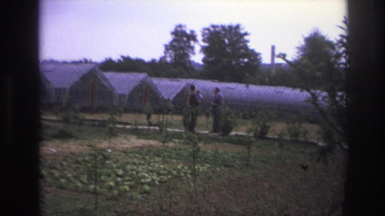 Paris, France, 1967 home-movie frame showing two men walking across a farm plot near long arched greenhouses.