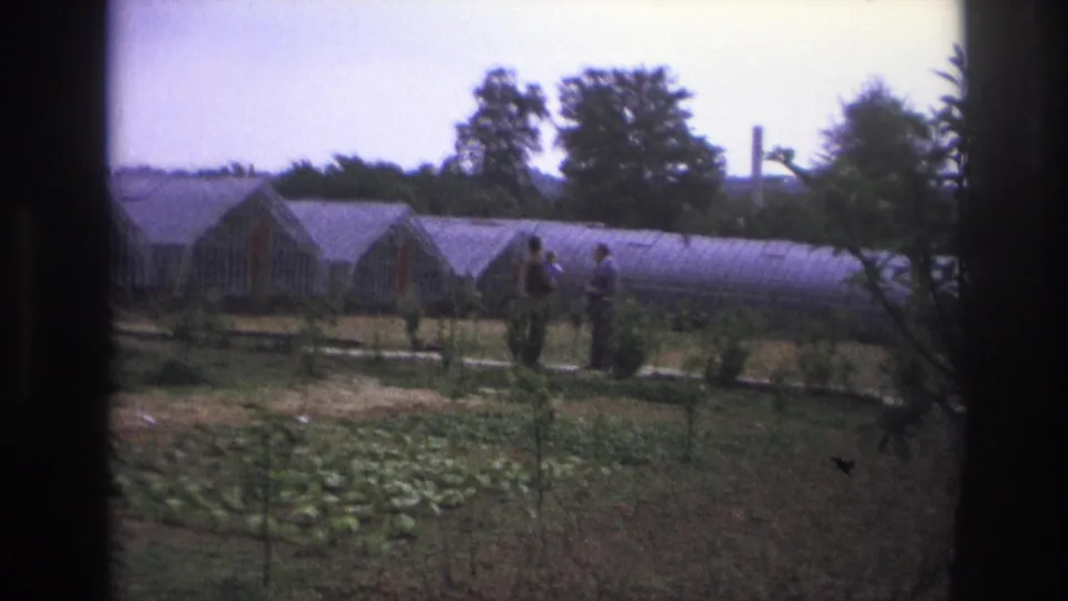 Paris, France, 1967 home-movie frame showing two men walking across a farm plot near long arched greenhouses.