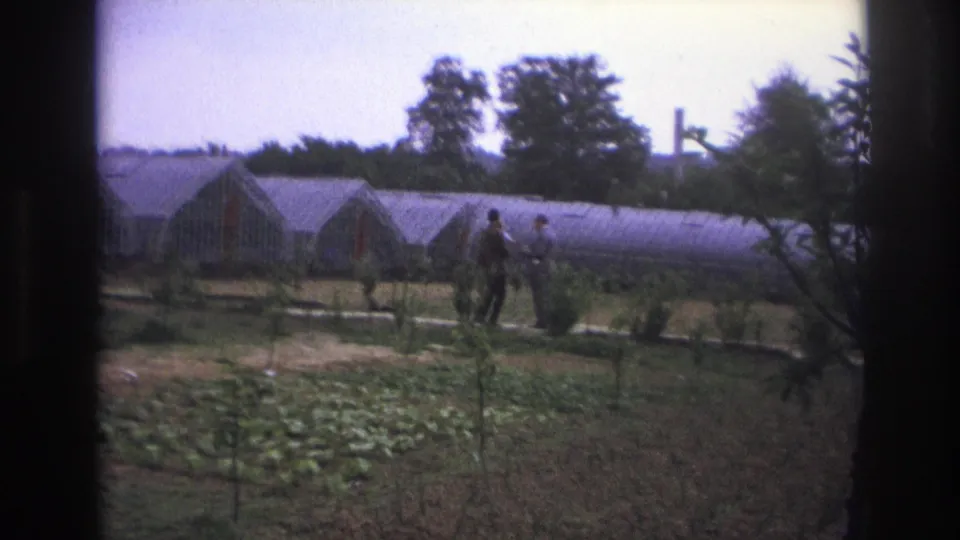 Paris, France, 1967 frame with men touring cultivated land beside a translucent arched greenhouse and planted rows.