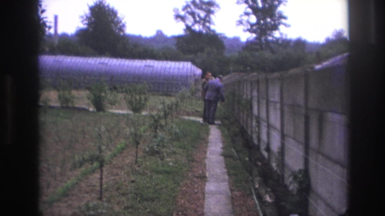 Two suited men walk farther down a narrow path in a cultivated plot, with greenhouse roofing and trees visible beyond them.