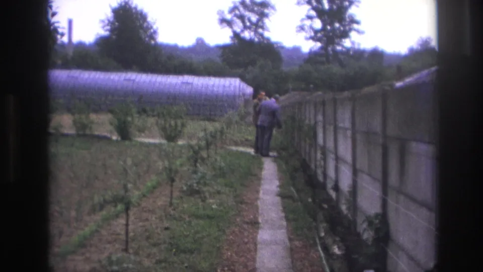 Two suited men walk farther down a narrow path in a cultivated plot, with greenhouse roofing and trees visible beyond them.