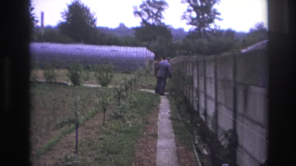 The two men pause together on the path, seen through dark frame edges with a greenhouse and cultivated rows around them.