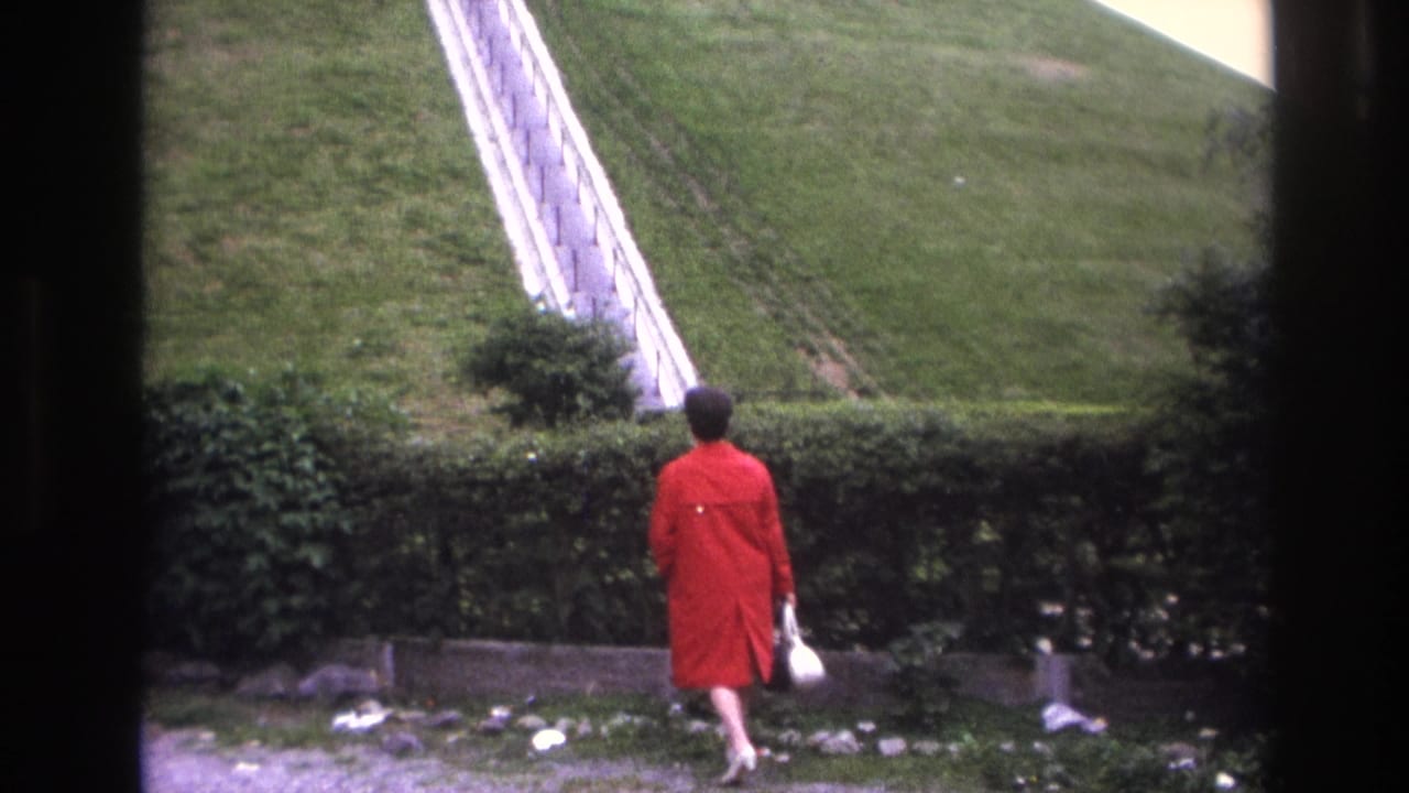 Woman in a red coat is seen from behind near a hedge and staircase.