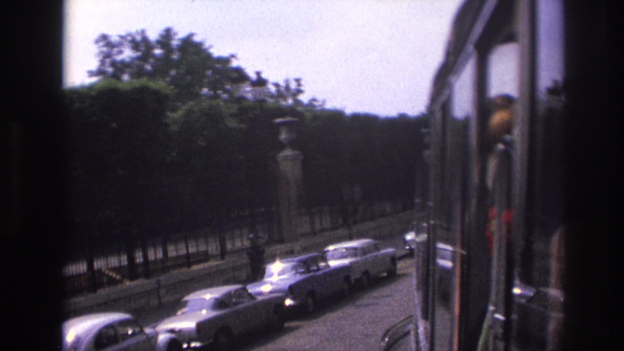 Bus-window view of a tree-lined boulevard with parked cars and stone posts.