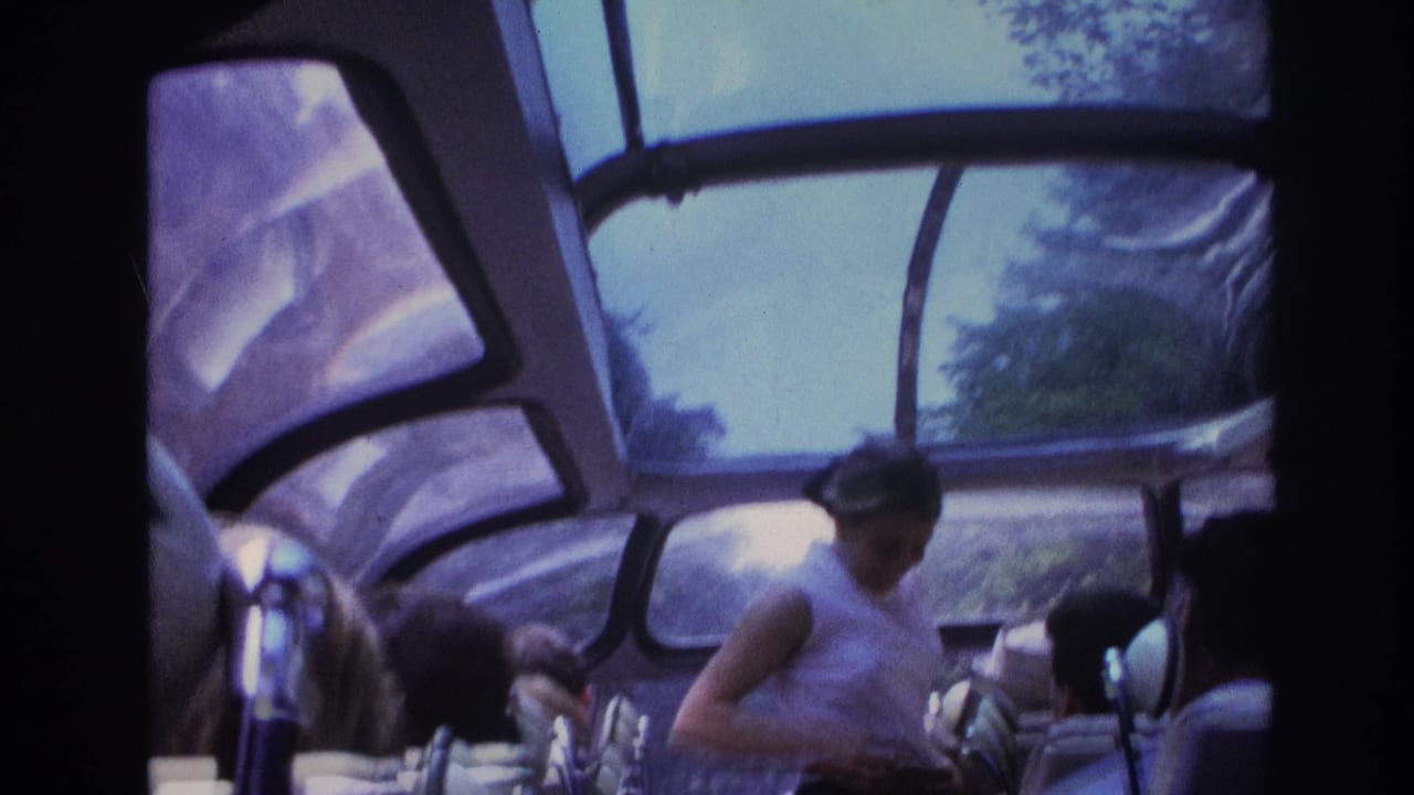 Woman standing in the aisle of a glass-roofed bus with seated passengers nearby.