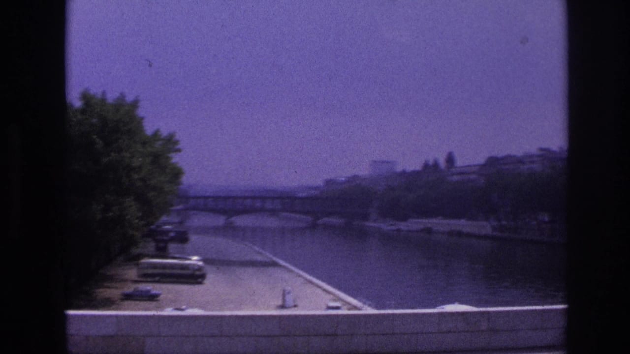 View across a river from a moving vehicle, with trees, embankment, and bridge in the distance.