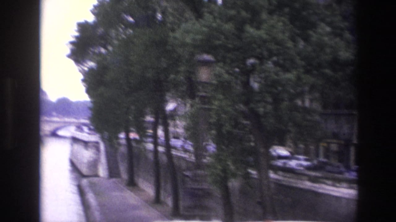 Seine riverbank with trees, bridge spans, lamps, and cars along the quay.