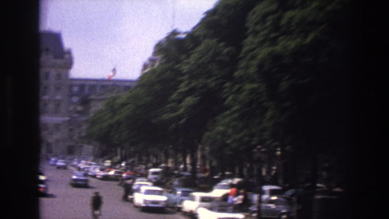 Tree-lined boulevard with cars and a large stone building in the distance.