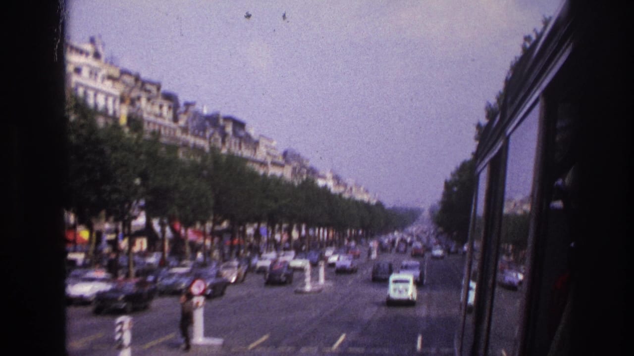 Tree-lined city street with moving cars and buildings beyond the road.