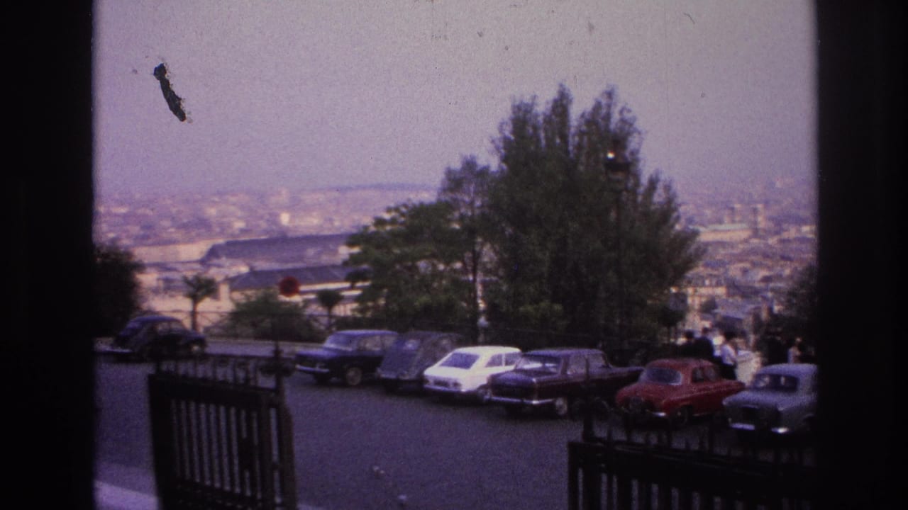 Row of parked cars at an overlook, framed by trees and dark vertical gate posts.