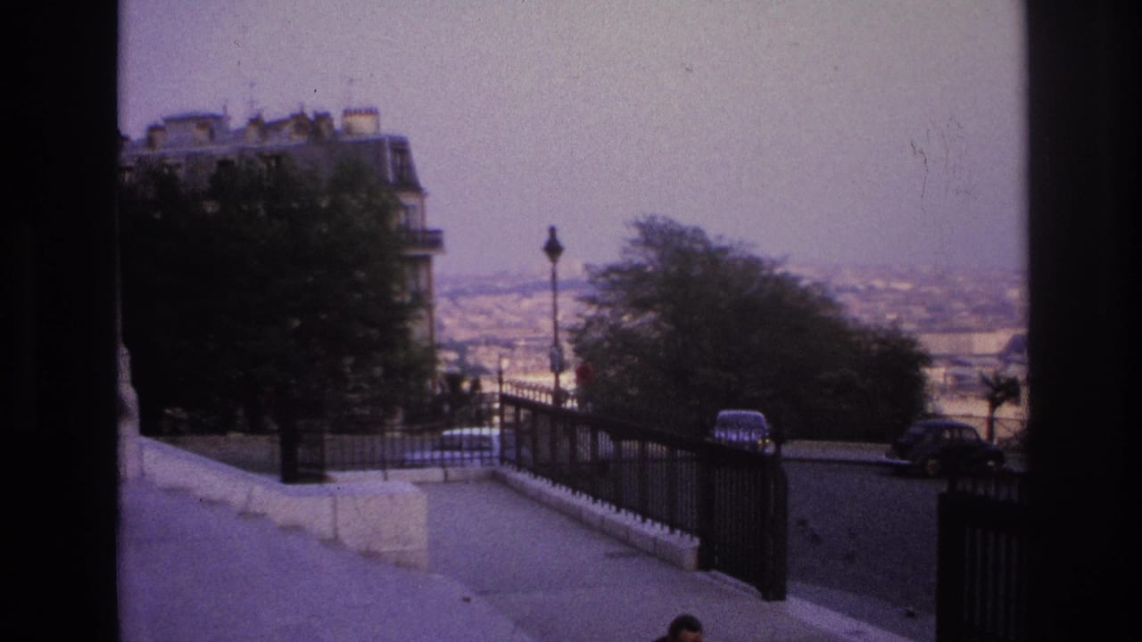 Elevated street view with iron railing, trees, parked cars, and a hazy city panorama in the distance.