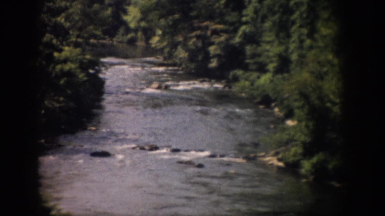 Forested river with shallow rapids and rocks, framed by dark film edges.