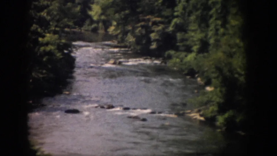 1959 8mm home-movie view of a forested river in Colorado, with shallow rapids, rocks, dense trees, and dark scan edges.