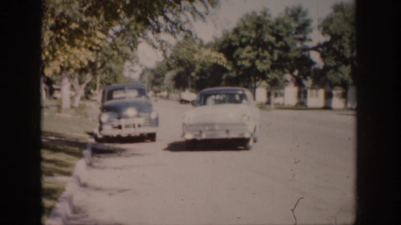 Two mid-century cars on a sunny tree-lined residential street.