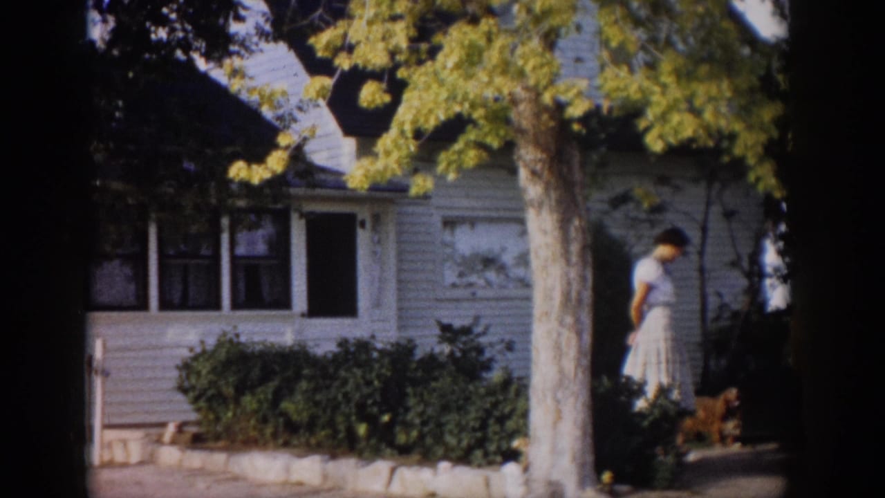 Woman stands near the house as a dog appears at the right edge of the yard.