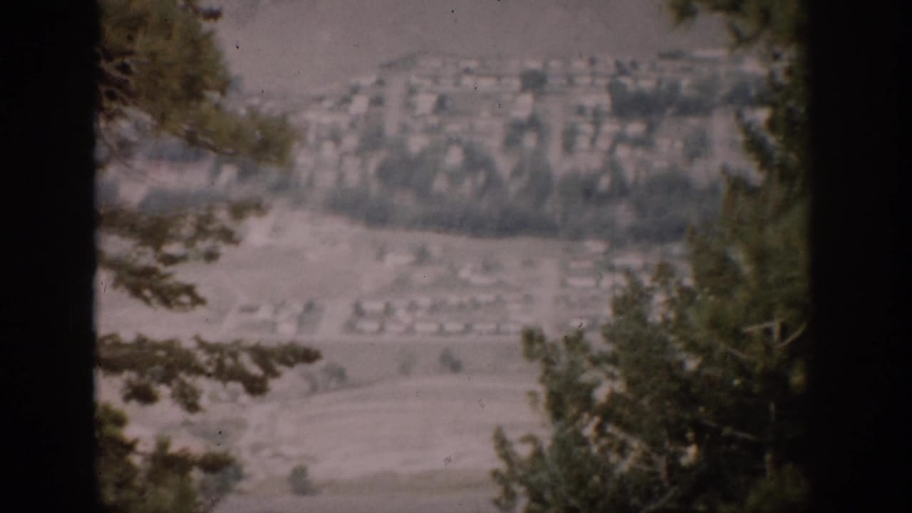 1959 Colorado home-movie frame showing distant valley houses through evergreen branches from a high overlook.