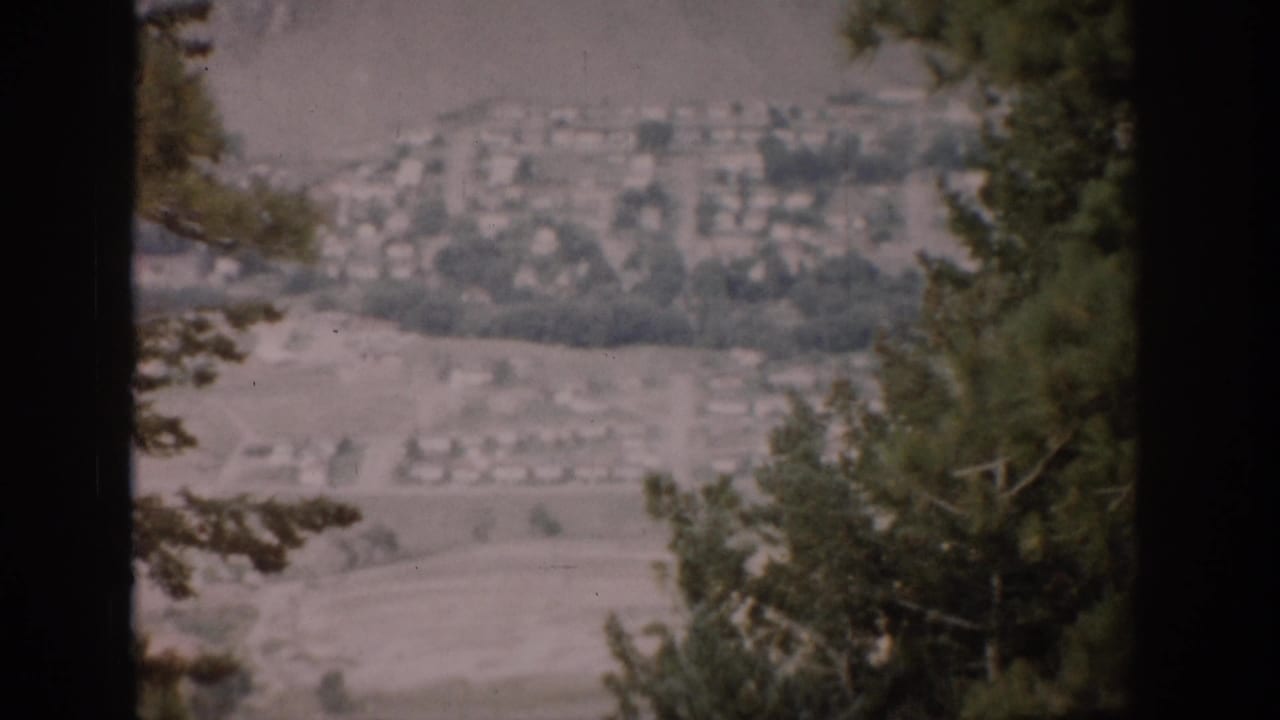 Distant residential valley seen between dark foreground trees.