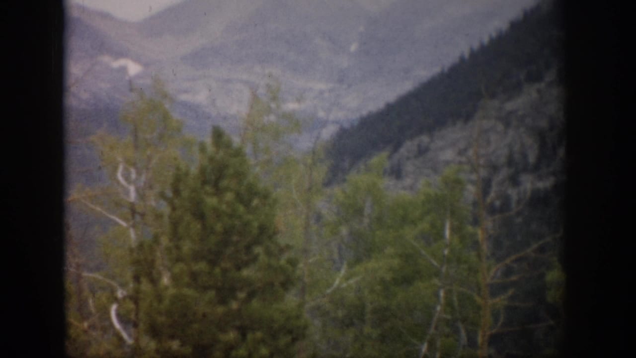 Forested mountain view through window divisions with pale distant ridges.