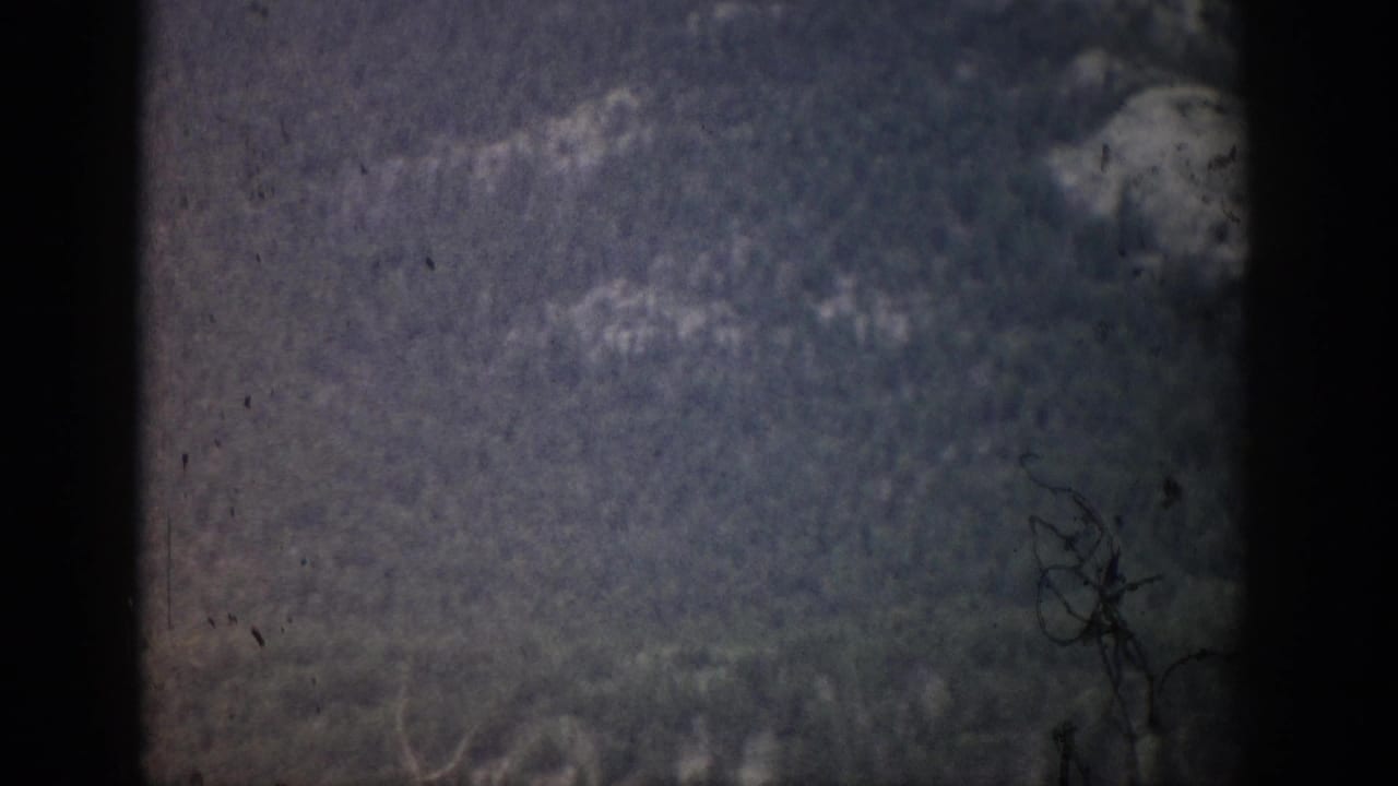 1959 Colorado 8mm frame with a dim, soft view of trees and hillside seen through heavy film edge shadowing.