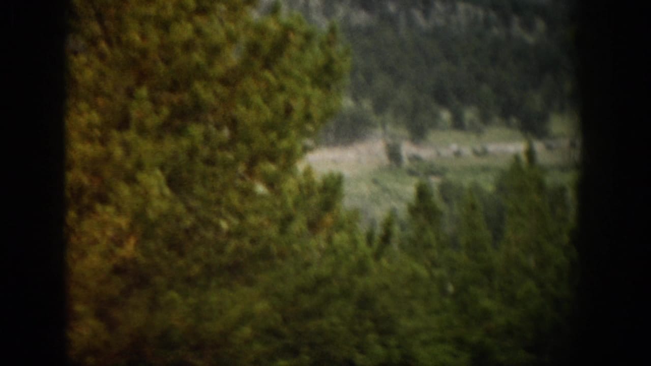 1959 Colorado home-movie view from an elevated overlook, with pine trees framing a distant valley and road.