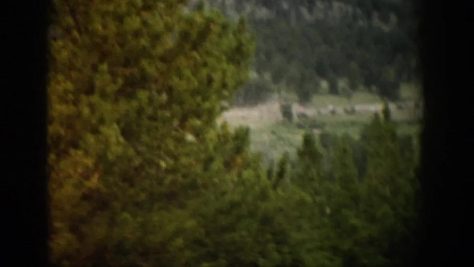 1959 Colorado home-movie view from an elevated overlook, with pine trees framing a distant valley and road.