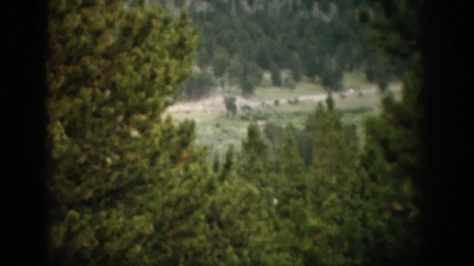 Soft 8mm Colorado mountain-overlook frame showing pines, a pale road, and a distant wooded valley.