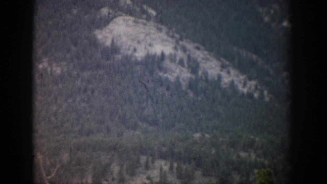 1959 Colorado 8mm frame showing a hazy forested mountain slope with exposed pale rock and dark film-edge borders.