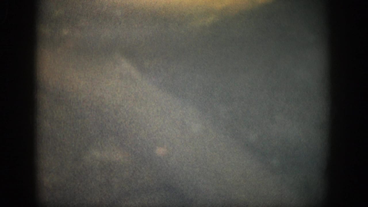 Murky underwater frame with pale water, grain, and dark film edges.
