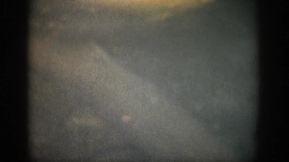 Faded 1959 Colorado 8mm view of cloudy shallow water, with indistinct fish-like shapes and strong film grain.