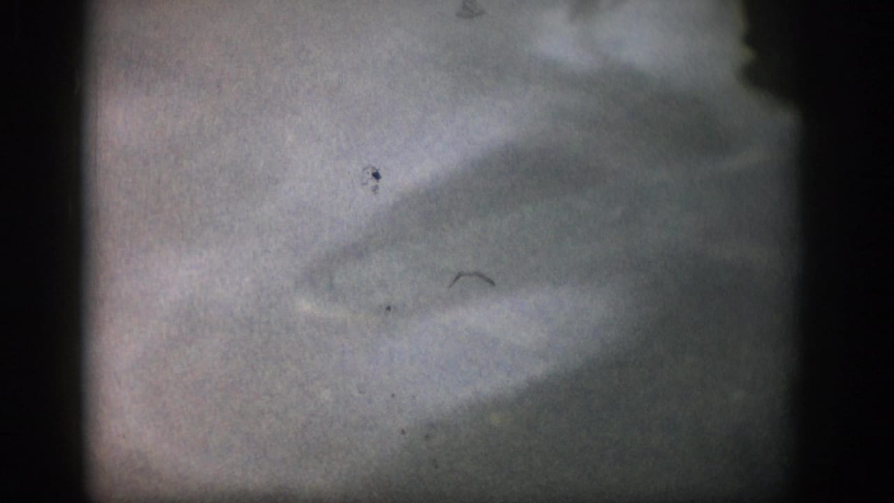 1959 Colorado 8mm frame of pale, cloudy shallow water with a small curved dark form that may be a fish fin or debris.