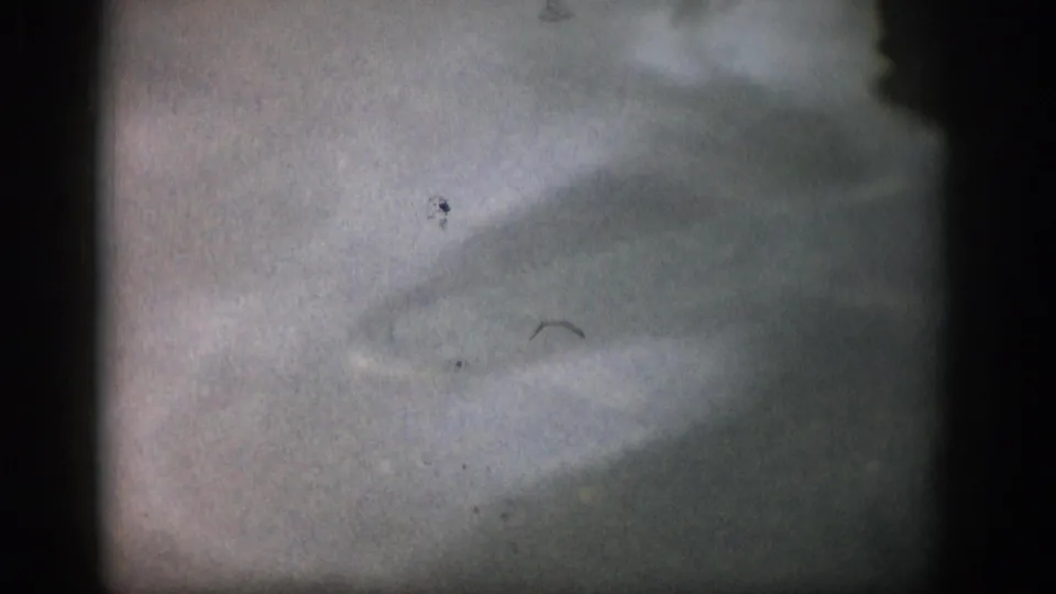 1959 Colorado 8mm frame of pale, cloudy shallow water with a small curved dark form that may be a fish fin or debris.
