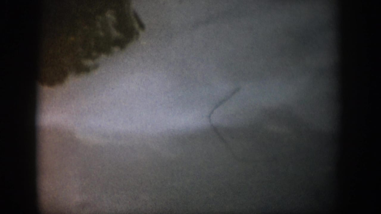 1959 Colorado 8mm frame showing cloudy water near a dark shoreline mass, with a faint fish-like line or tail shape underwater.