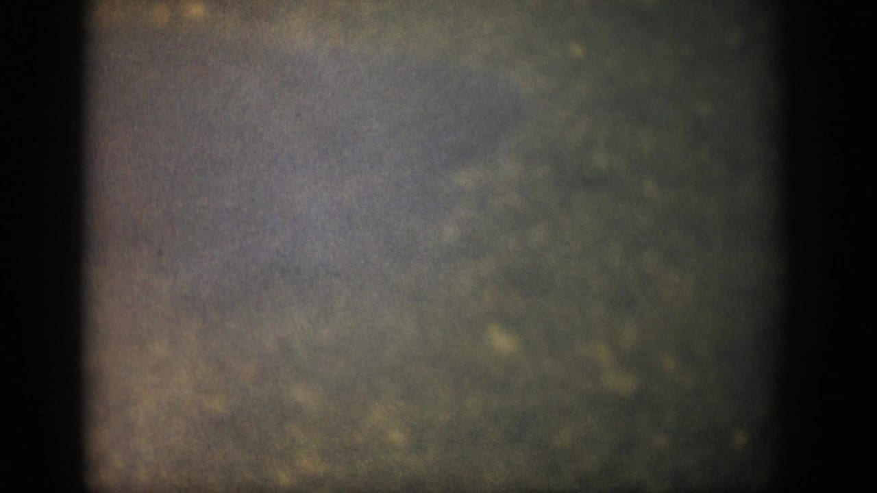 1959 Colorado 8mm frame showing a darker green-brown streambed, soft gravel texture, and visible archive film grain.