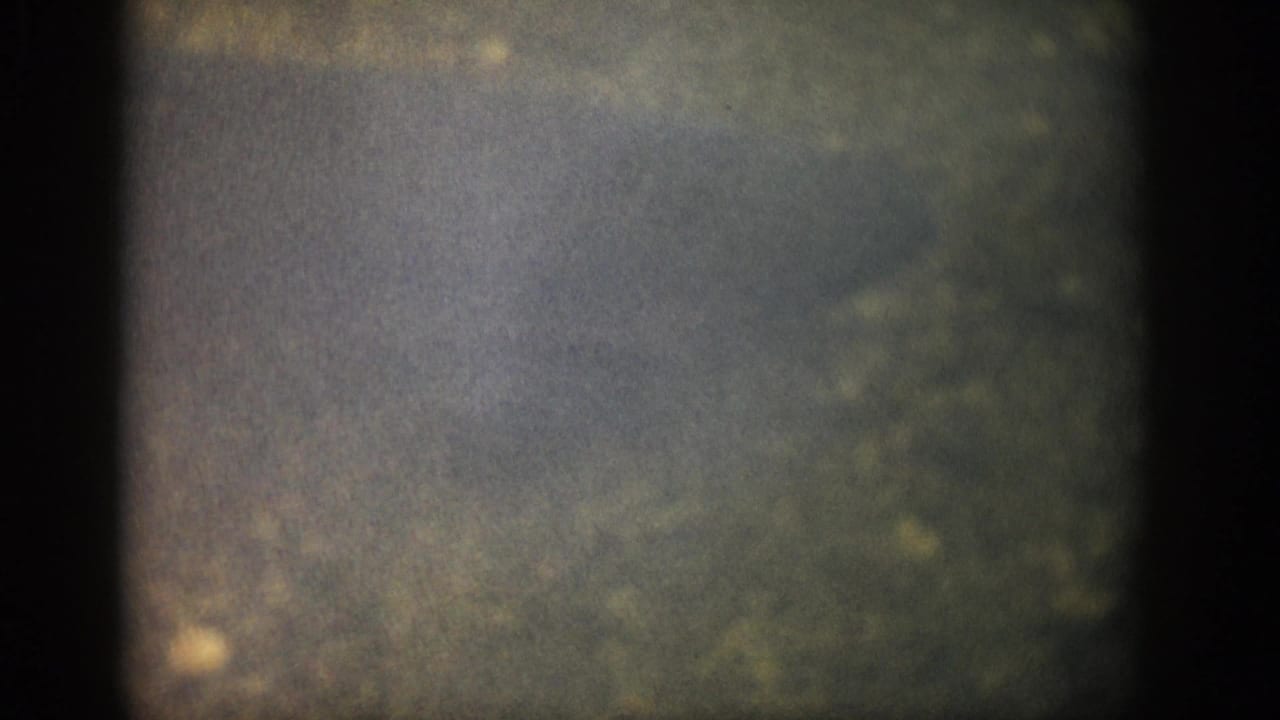 1959 Colorado 8mm frame showing hazy underwater gravel and a faint darker form near the streambed.