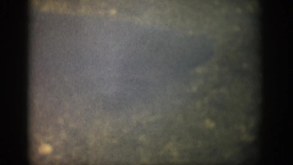 1959 Colorado 8mm frame showing hazy underwater gravel and a faint darker form near the streambed.