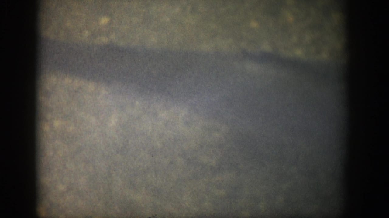 1959 Colorado 8mm frame where a large fish form appears faintly beneath murky shallow water and grainy exposure.