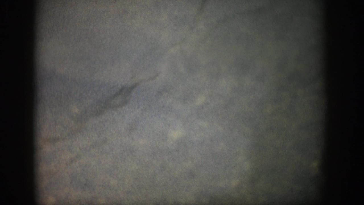 1959 Colorado 8mm frame showing a large fish shape under cloudy shallow water, with grain, faded color, and soft focus.